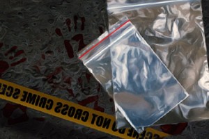 seal-able evidence bags